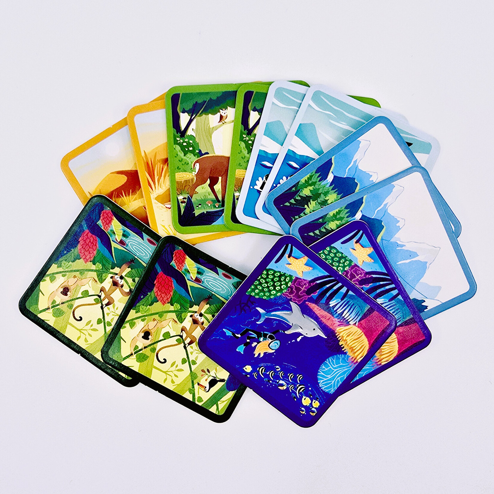 Janod Chasse au Trésor – Autour du Monde