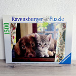 Ravensburger Puzzle - Câlin