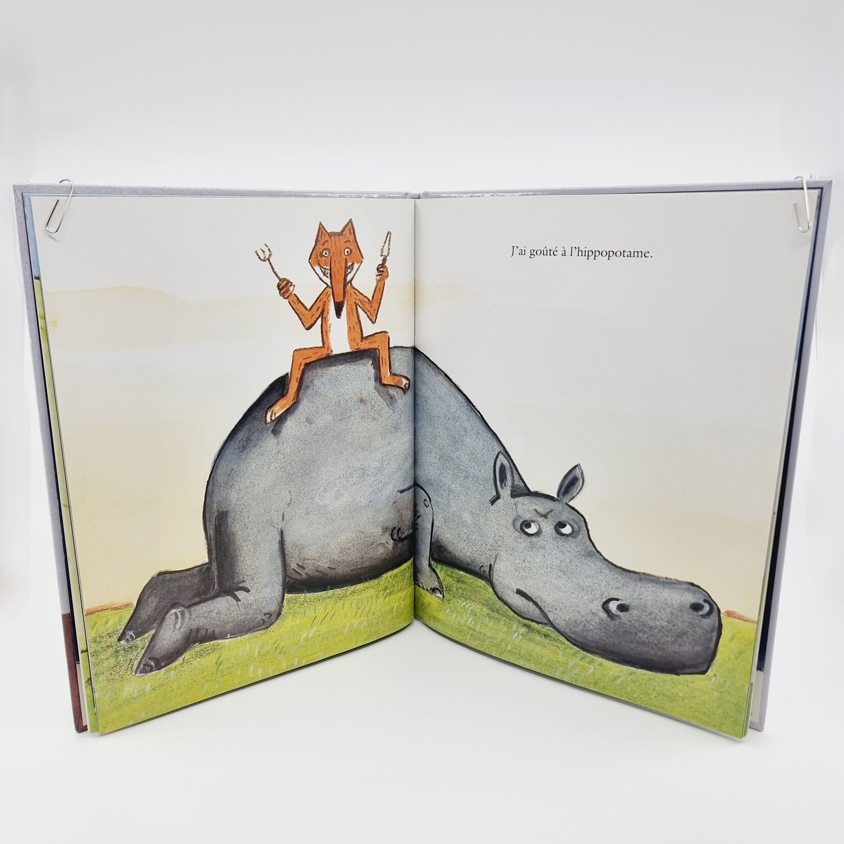 Livre - Bon appétit Monsieur Renard