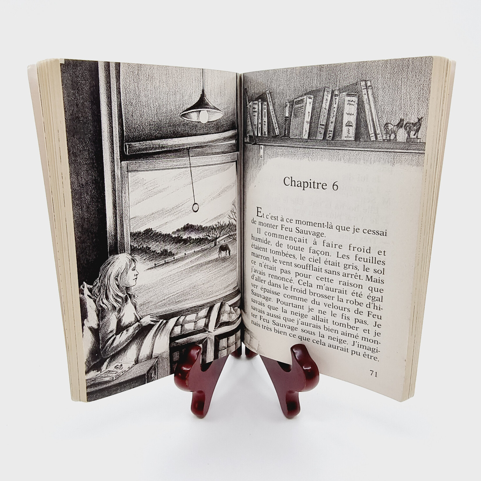 Livre - Deux filles pour un cheval