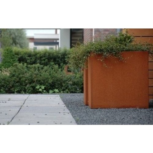 Cortenstaal plantenbak 40x40x40cm - Met bodem