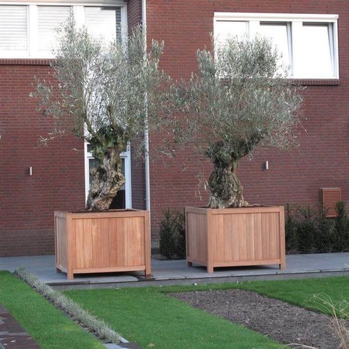 Hardhouten plantenbak Valencia 120x50x60cm - Met bodem
