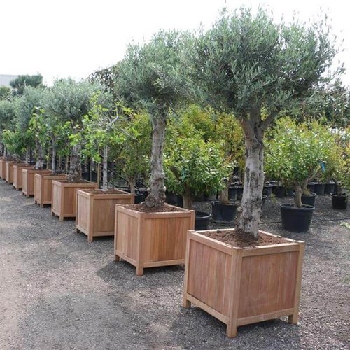 Hardhouten plantenbak Valencia 60x60x60cm - Met bodem