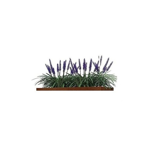 HTDesign (Eigen merk) Cortenstaal plantenbak 0,3x200x80x20cm HTDesign (Eigen merk) Cortenstaal plantenbak 0,3x200x80x20cm