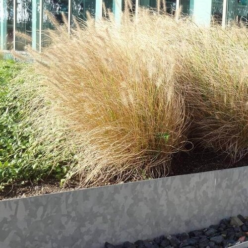 Verzinkt staal kantopsluiting recht 300x0,3x29cm