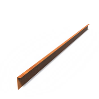 Cortenstaal gezet 150x0,2x10cm
