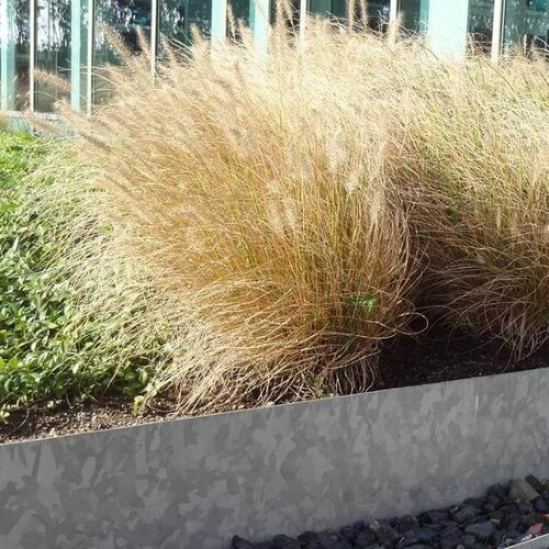 Verzinkt staal kantopsluiting gezet 300x0,2x15cm