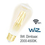 Franssen Franssen Wiz Ledlamp 2000k-4500k Wifi hoog
