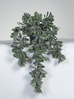 Vp Deco Kunstplant Crassula hanger 60cm