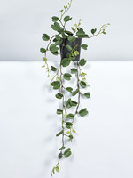 Vp Deco Kunstplant Hoya kerii hanger 85cm