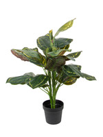 Vp Deco Kunstplant Calathea h80cm