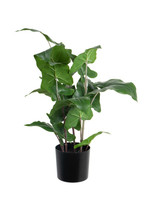 Vp Deco Kunstplant Philodendron h50cm