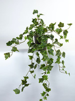 Vp Deco Kunstplant Hedera 80cm