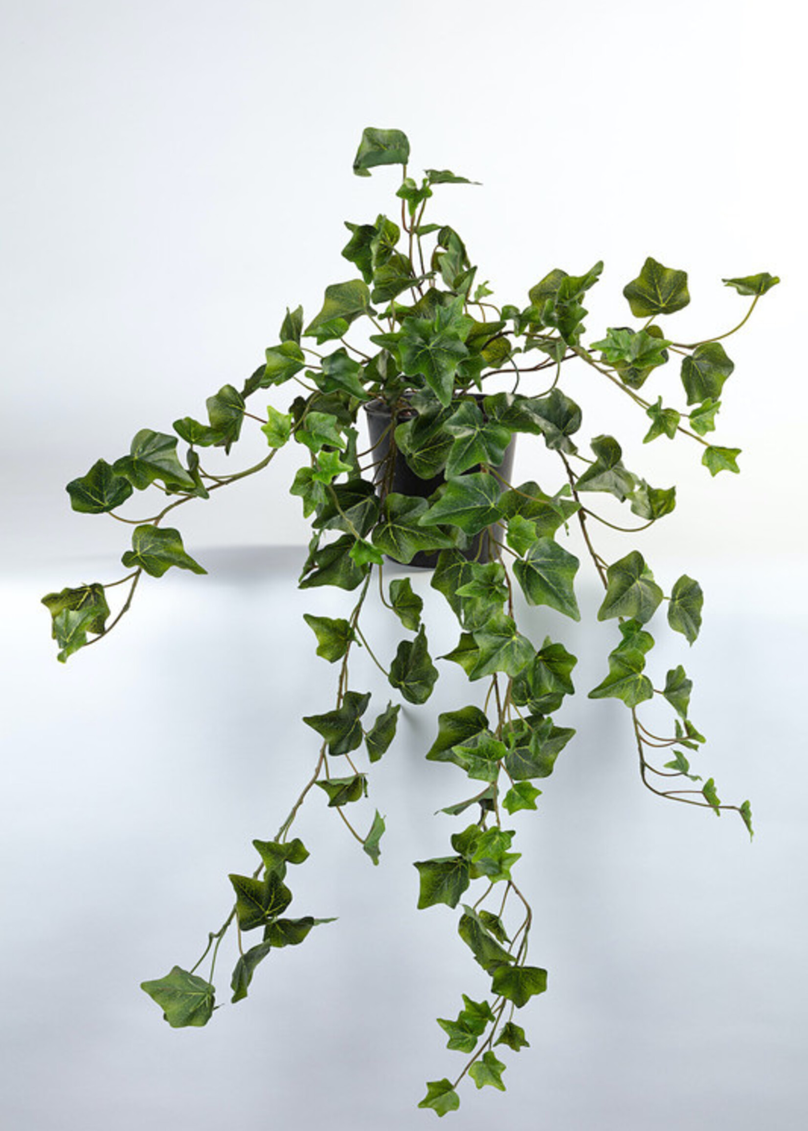 Vp Deco Kunstplant Hedera 80cm