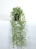 Vp Deco Kunstplant Saxifraga 80cm bont