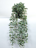 Vp Deco Kunstplant Saxifraga 80cm grijs