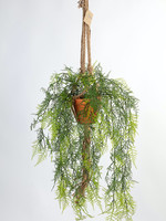 Vp Deco Kunstplant Asparagus met touw met pot h110cm