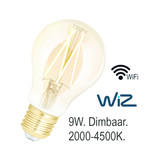 Franssen Franssen Wiz Ledlamp 2000k-4500k Wifi
