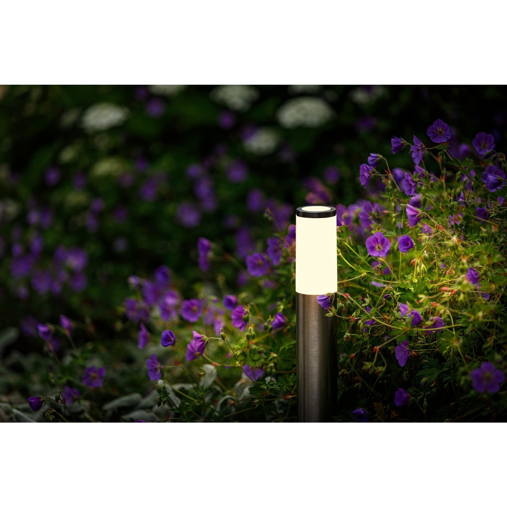 Garden Lights Garden Lights Lunia