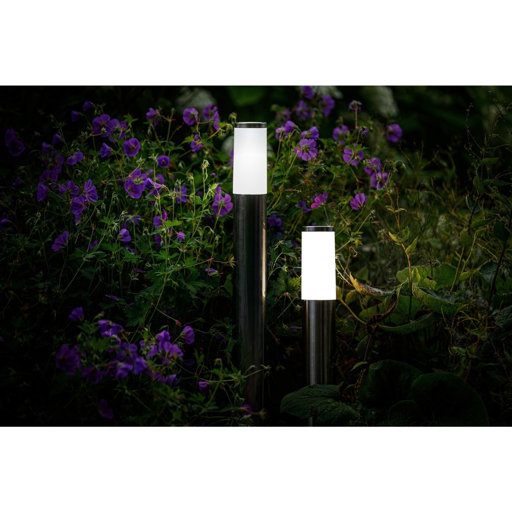 Garden Lights Garden Lights Lunia