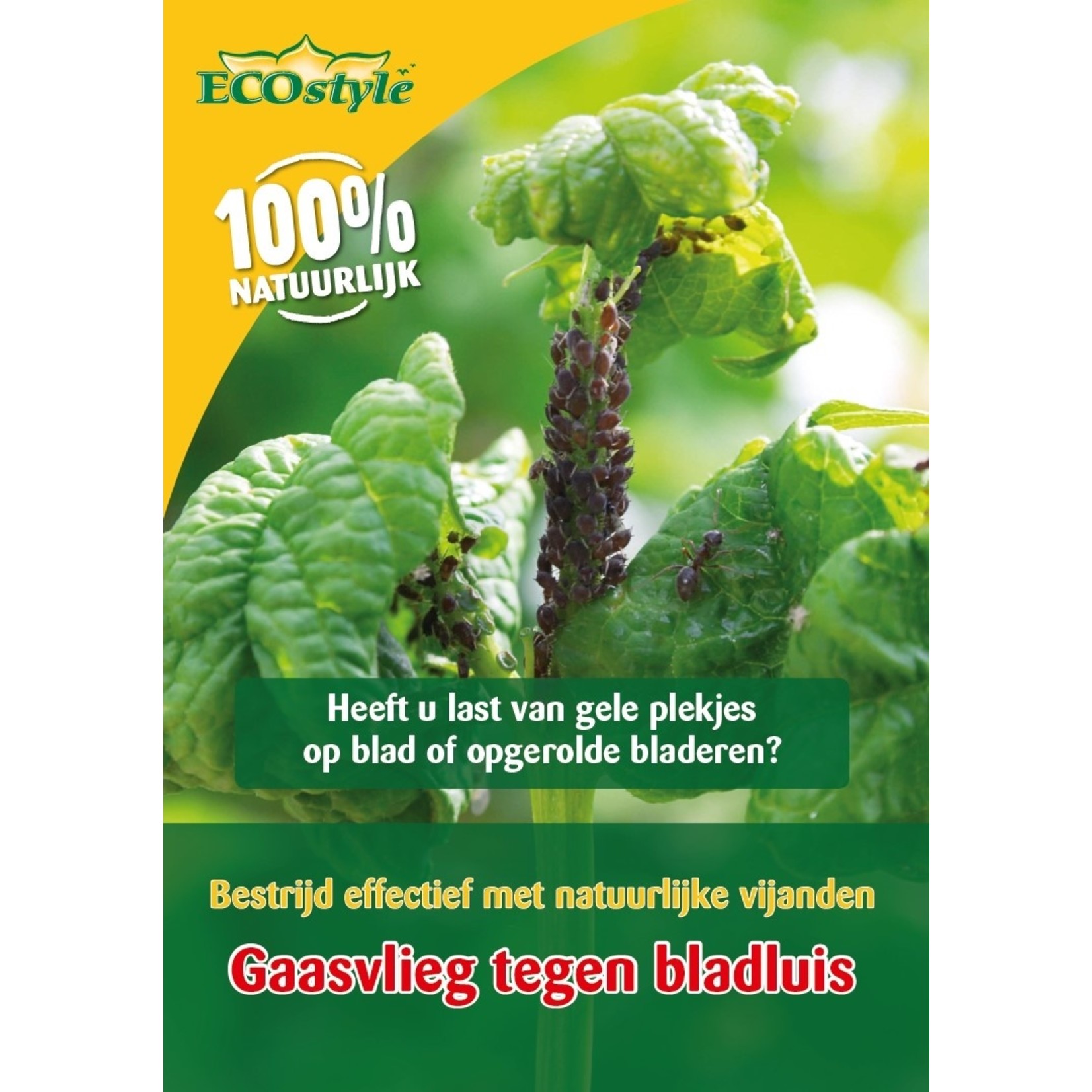 ECOstyle Gaasvlieg tegen bladluis 500 st.