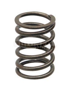 Güldner Ventilfeder