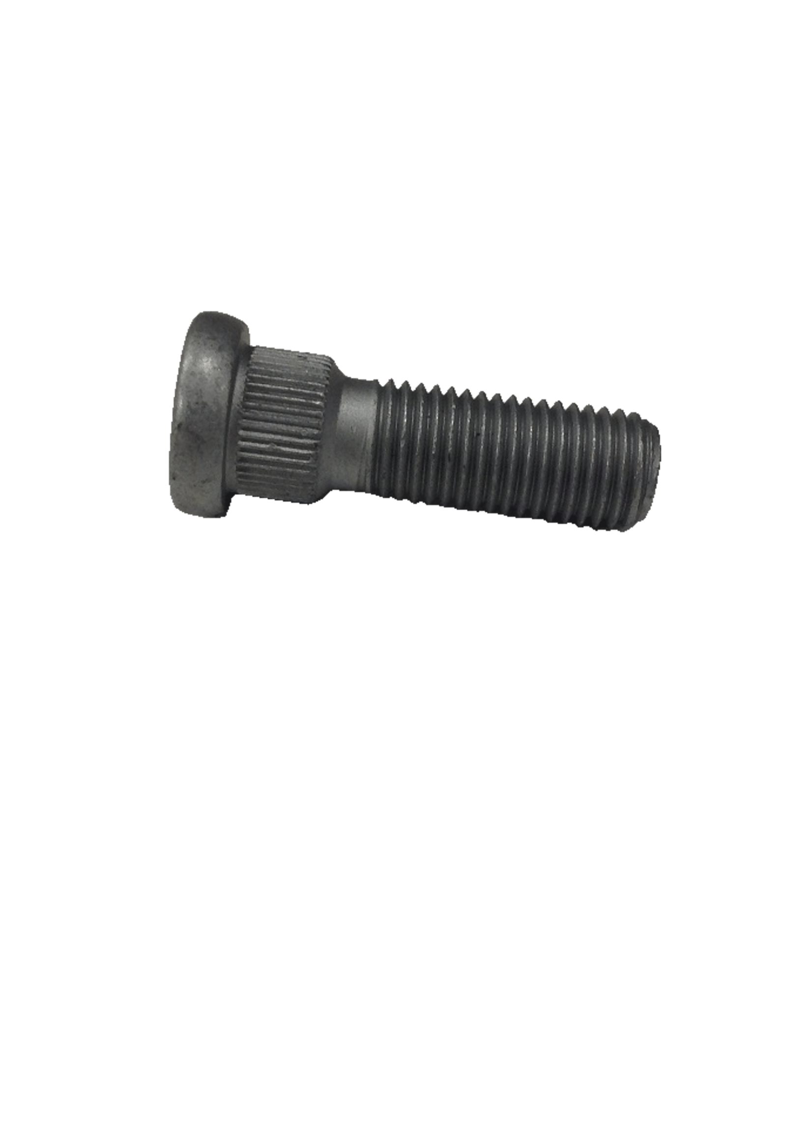 Bout 12x1.5/40mm / 5 stuks