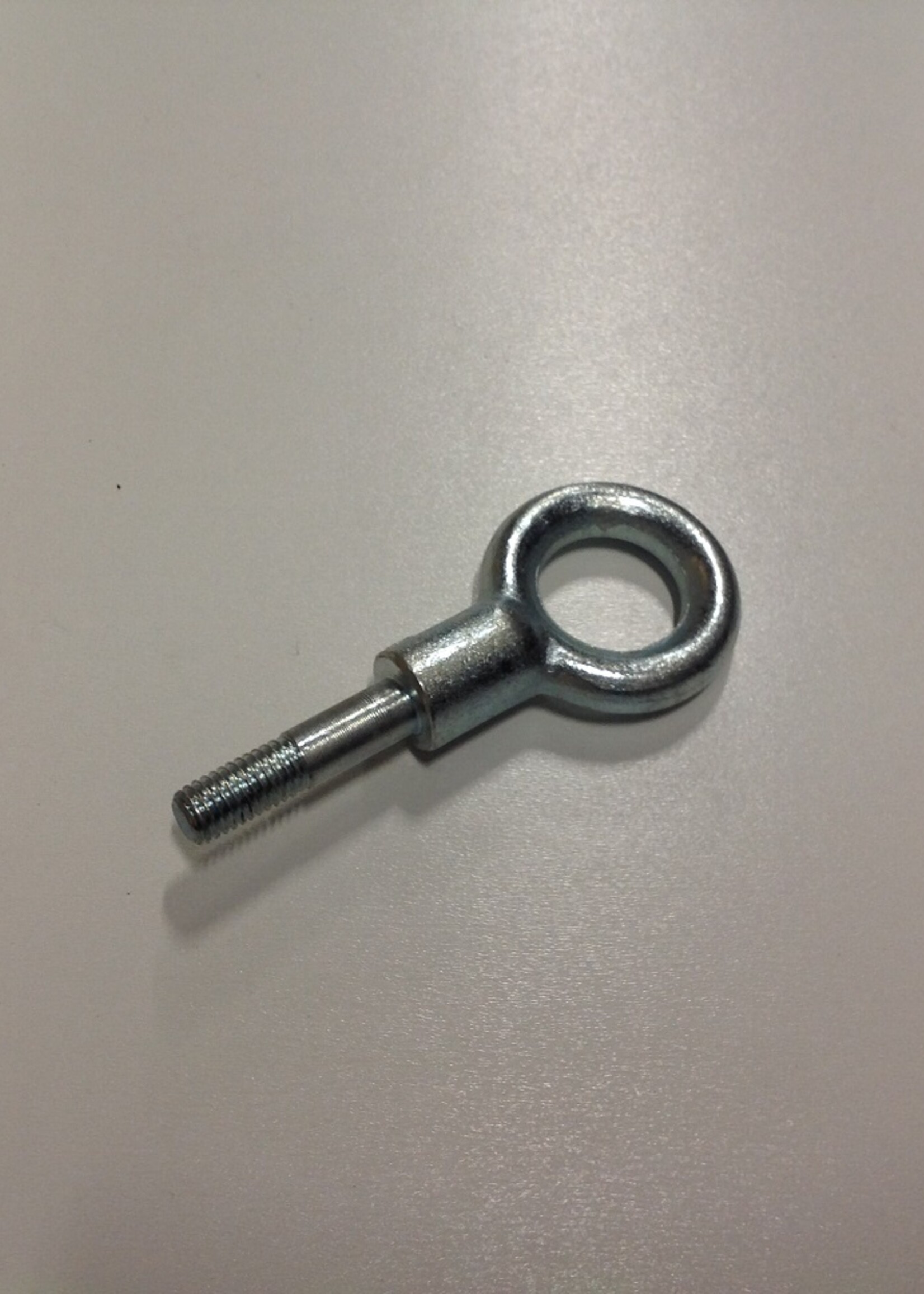 DTR Ringbout M10 VZ L=40mm voor paardentrailer