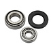 Compensa Wiellagerset Voor Alko SB160, SR160, 1625, 1635 Compensa Wiellagerset Voor Alko SB160, SR160, 1625, 1635