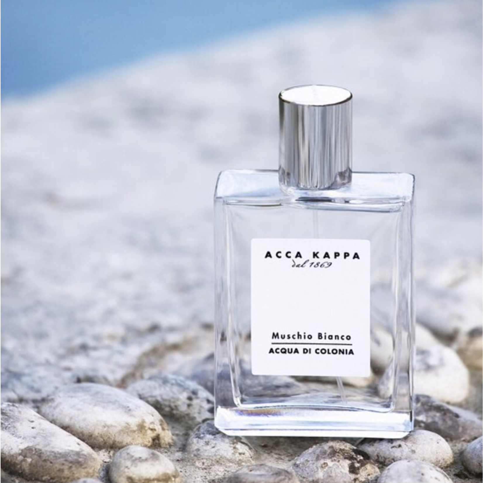 ACCA WHITE MOSS (EDT) 100ML - LABO-NOIR | YOUR FOR LUXURY