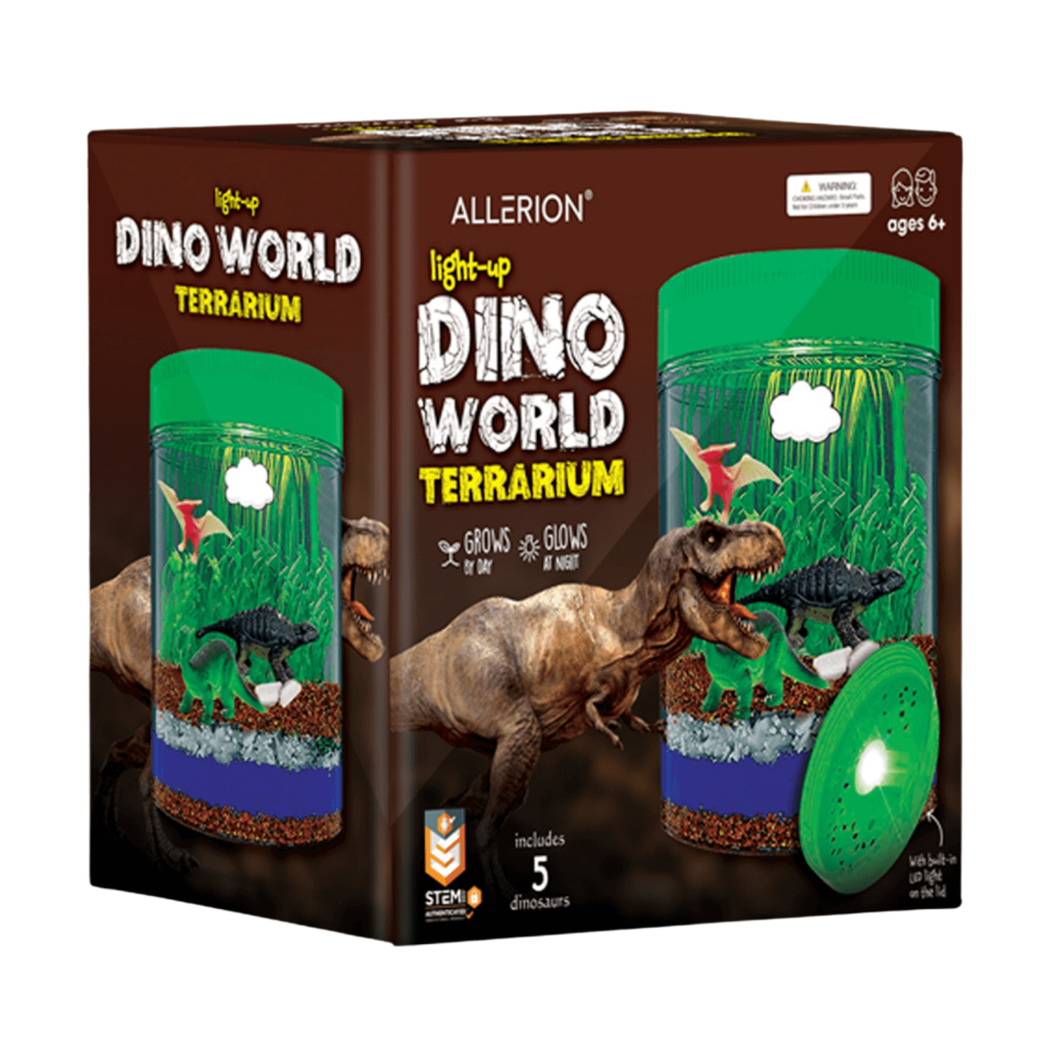 Terrarium Kit