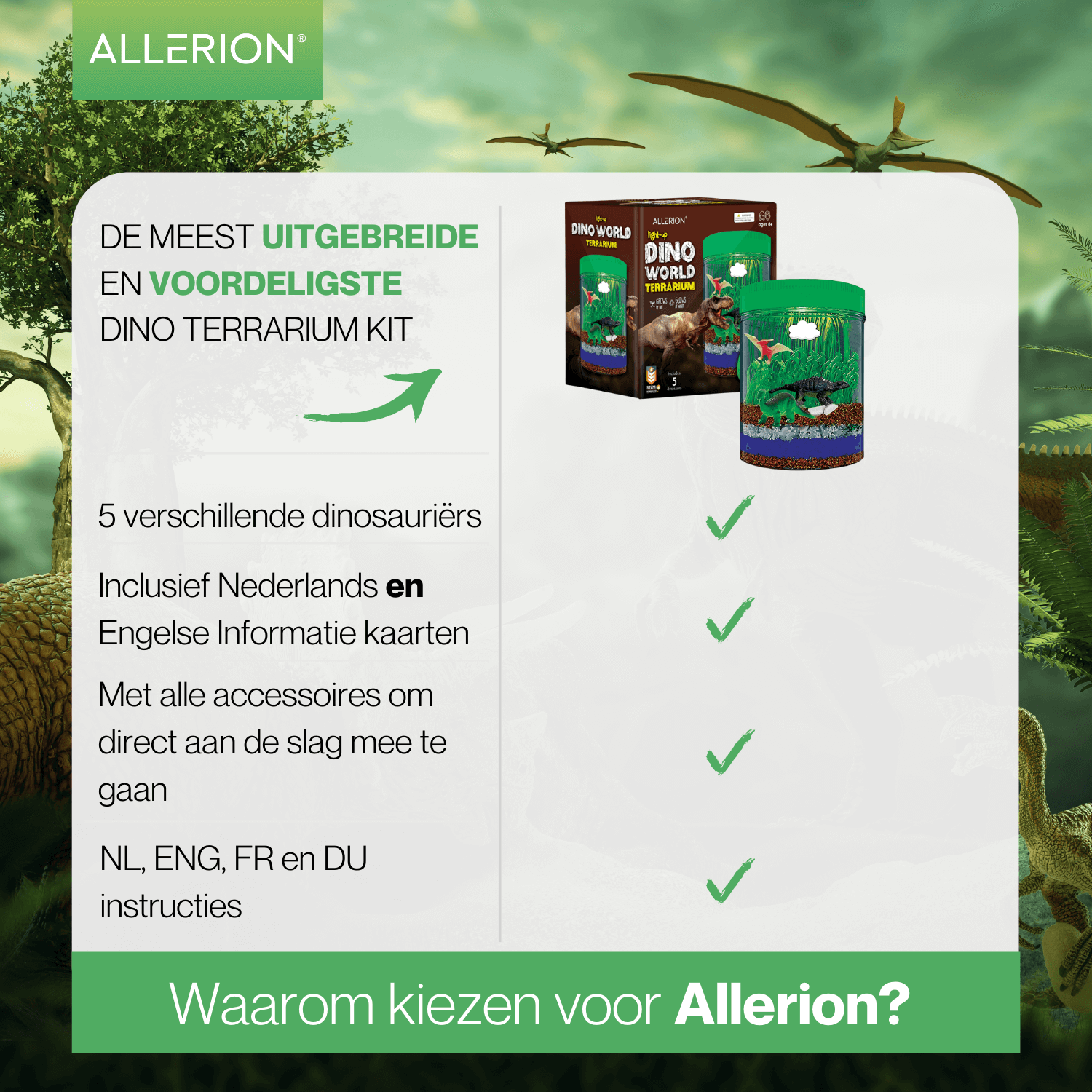 Terrarium Kit