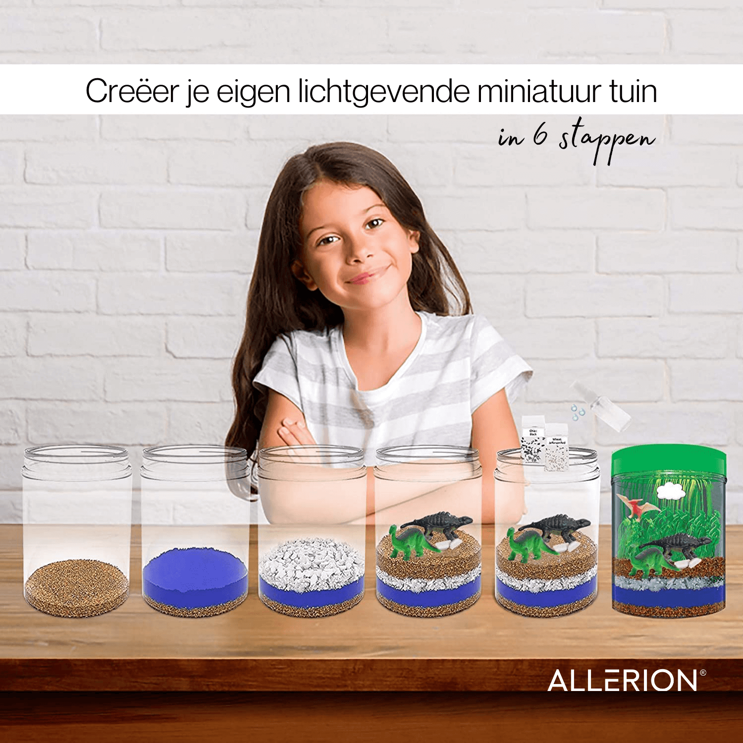 Terrarium Kit