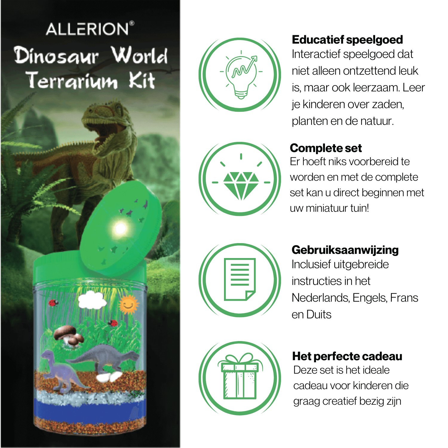Terrarium Kit