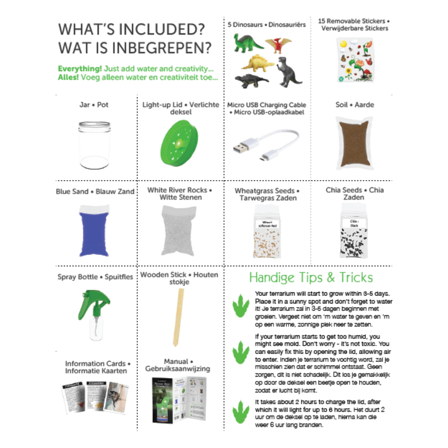Terrarium Kit