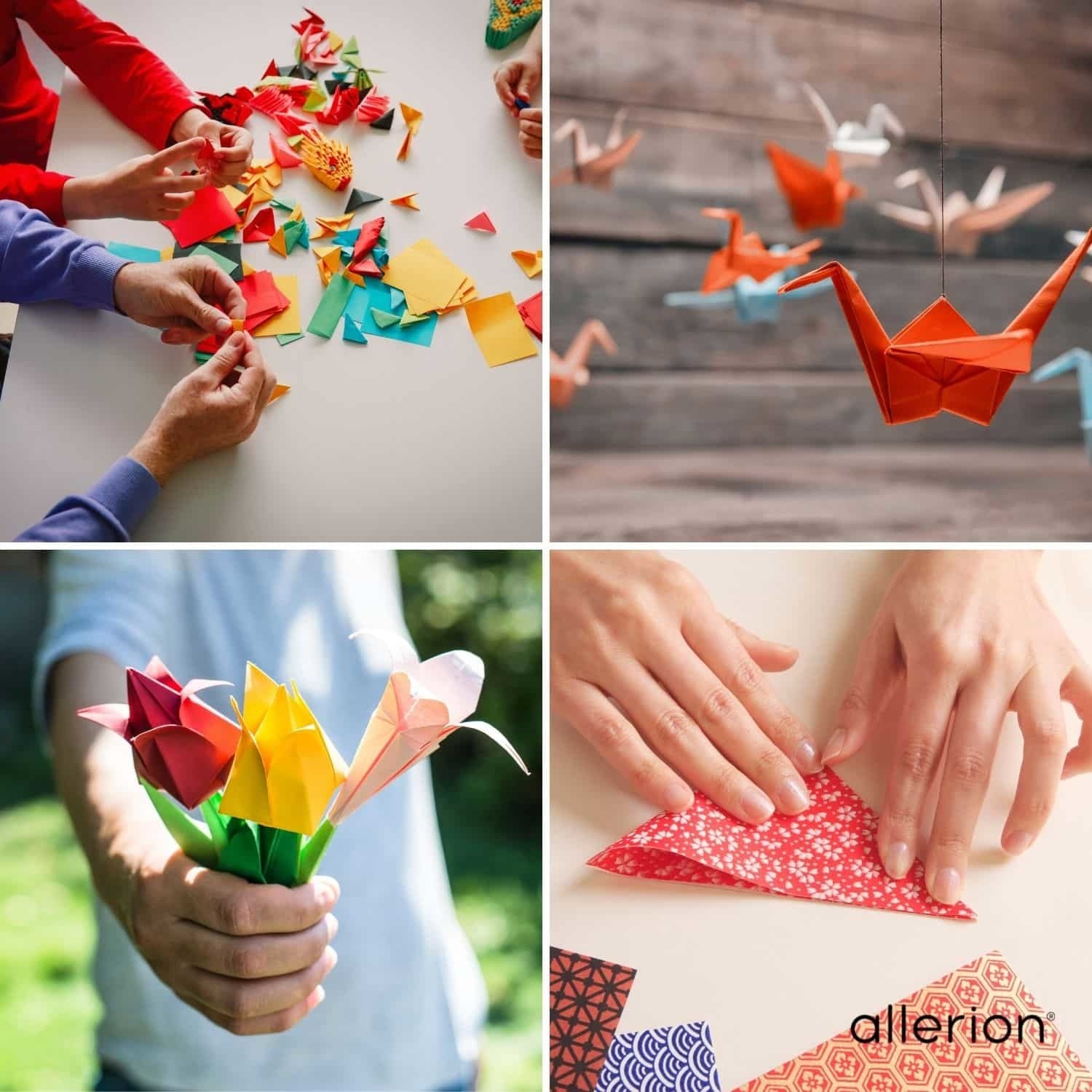 Origami Set