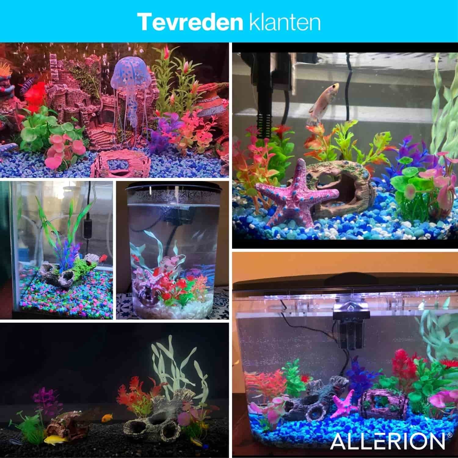 Aquarium Decoratie Set