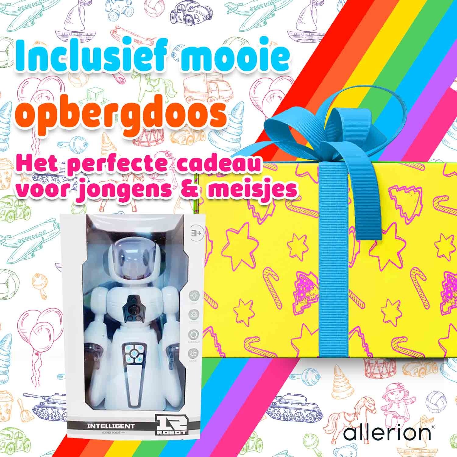 Robot Speelgoed Eva