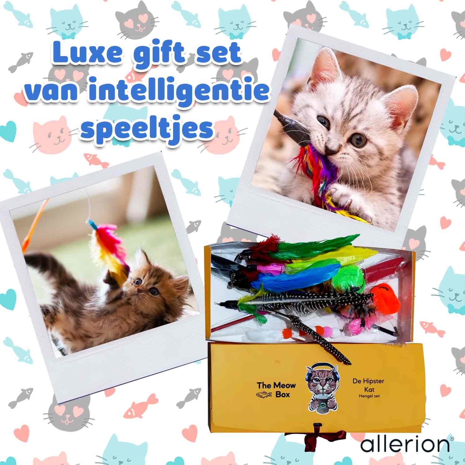Kattenspeelgoed Hengel Set