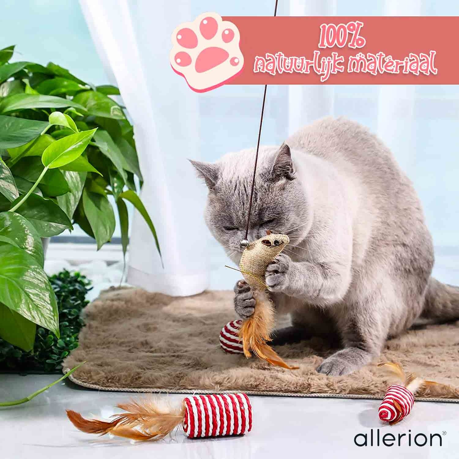 Kattenspeeltjes Gift Set