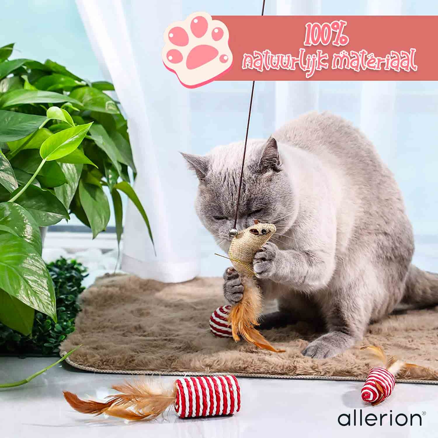 Kattenspeeltjes Gift Set