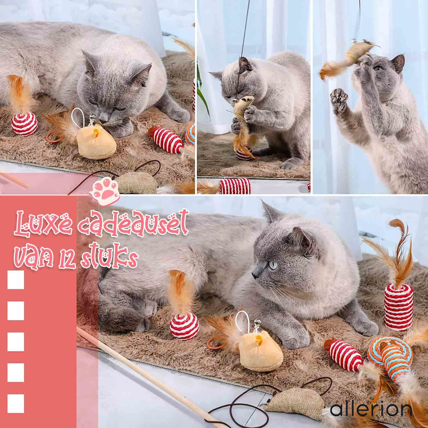Kattenspeeltjes Gift Set