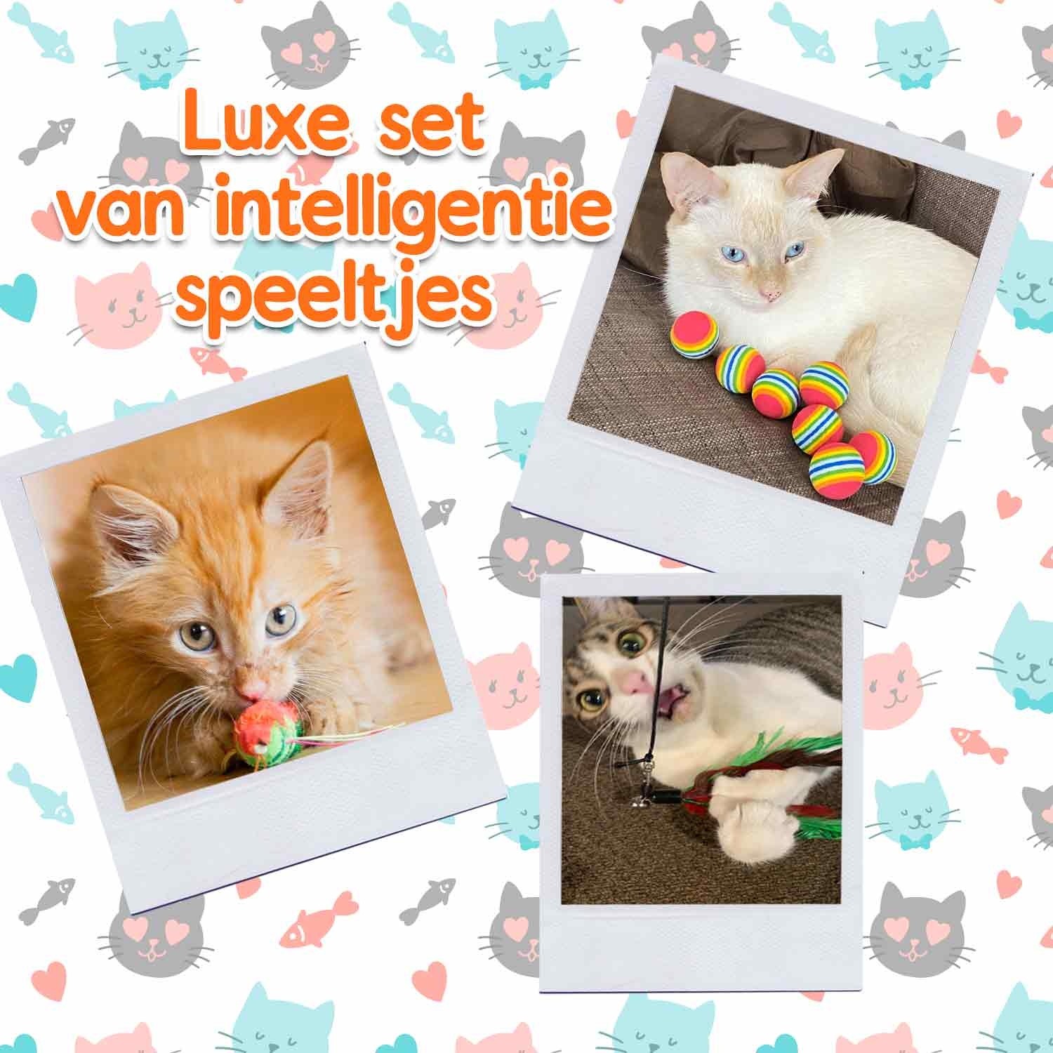 Kattenspeelgoed Set - 20st