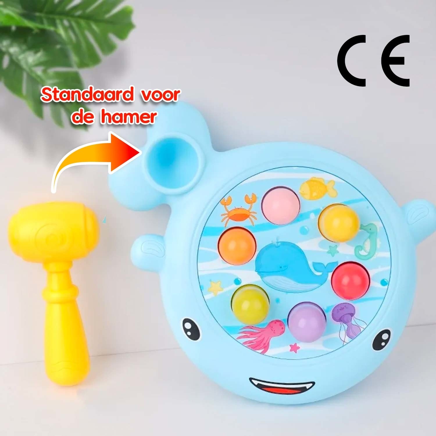 Walvis set