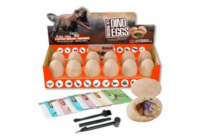 Dinosaurus Graaf Kit