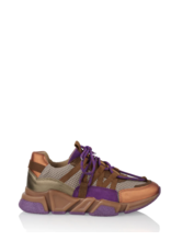 DWRS – Los Angeles purple/brown