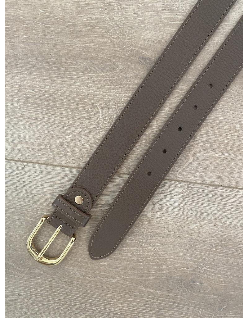 21Jewelz Musthave gold detailed belt dust brown