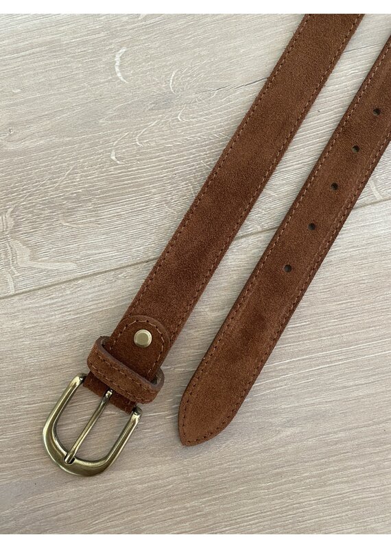 21Jewelz Musthave gold detailed belt suede umber