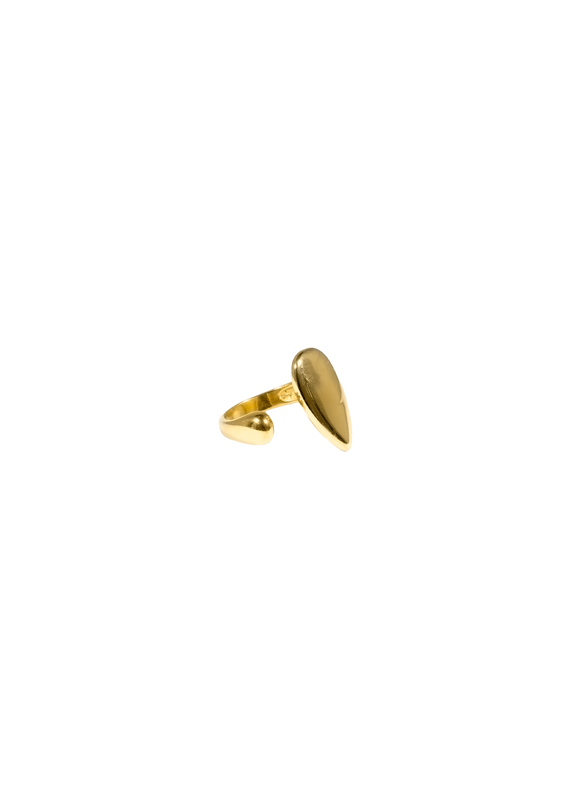 Molly&My Jewellery x Caroline Dan - Chunky Love Ringen main image 0