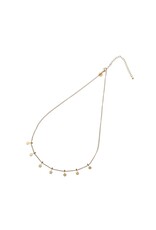 Go Dutch Label D&E - Ketting met bloemetjes - goud